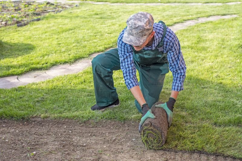 Sod Laying Service